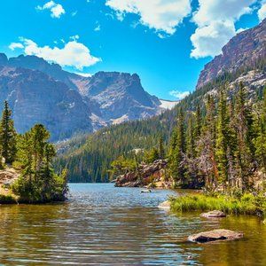 Meet your Posher, Scubacat